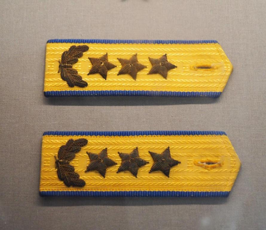 (e)_1988 Air Force General Rank Epaulette [Wang Hai]_Cropped.jpg