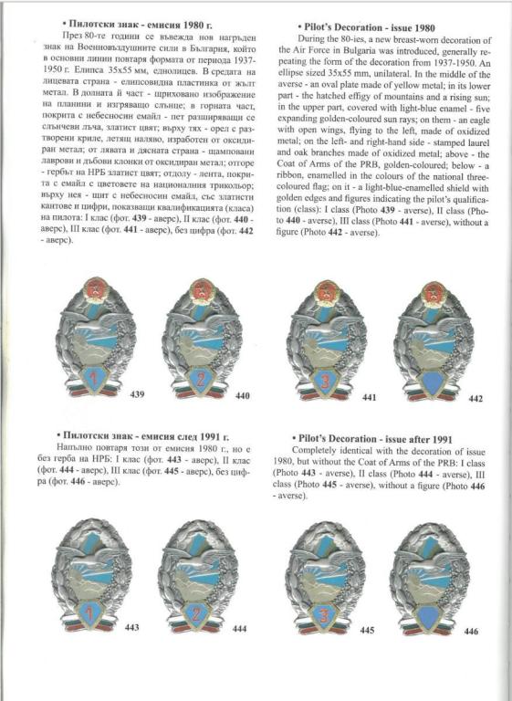 飞行员证章7.jpg