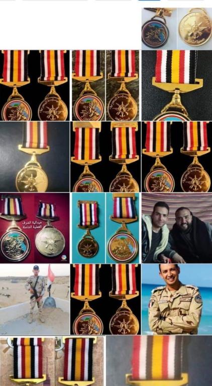 Egypt Medal Military Operation Sinai Against ISIS 2018 Wall.JPG