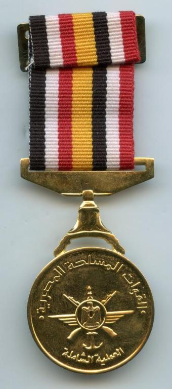 Egypt Medal Military Operation Sinai Against ISIS 2018 reverse (1).jpg