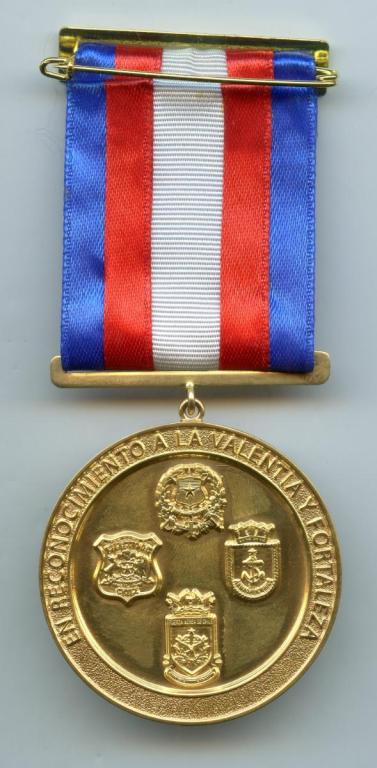 Chile Medal for Covid 19 Pandemy Humanitarian Service reverse.jpg